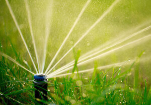 Arrosage de jardin villa